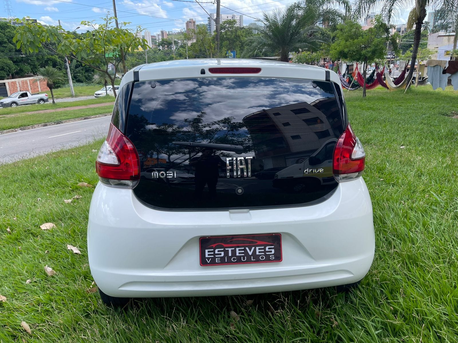 WhatsApp Image 2026-02-19 at 14.01.54