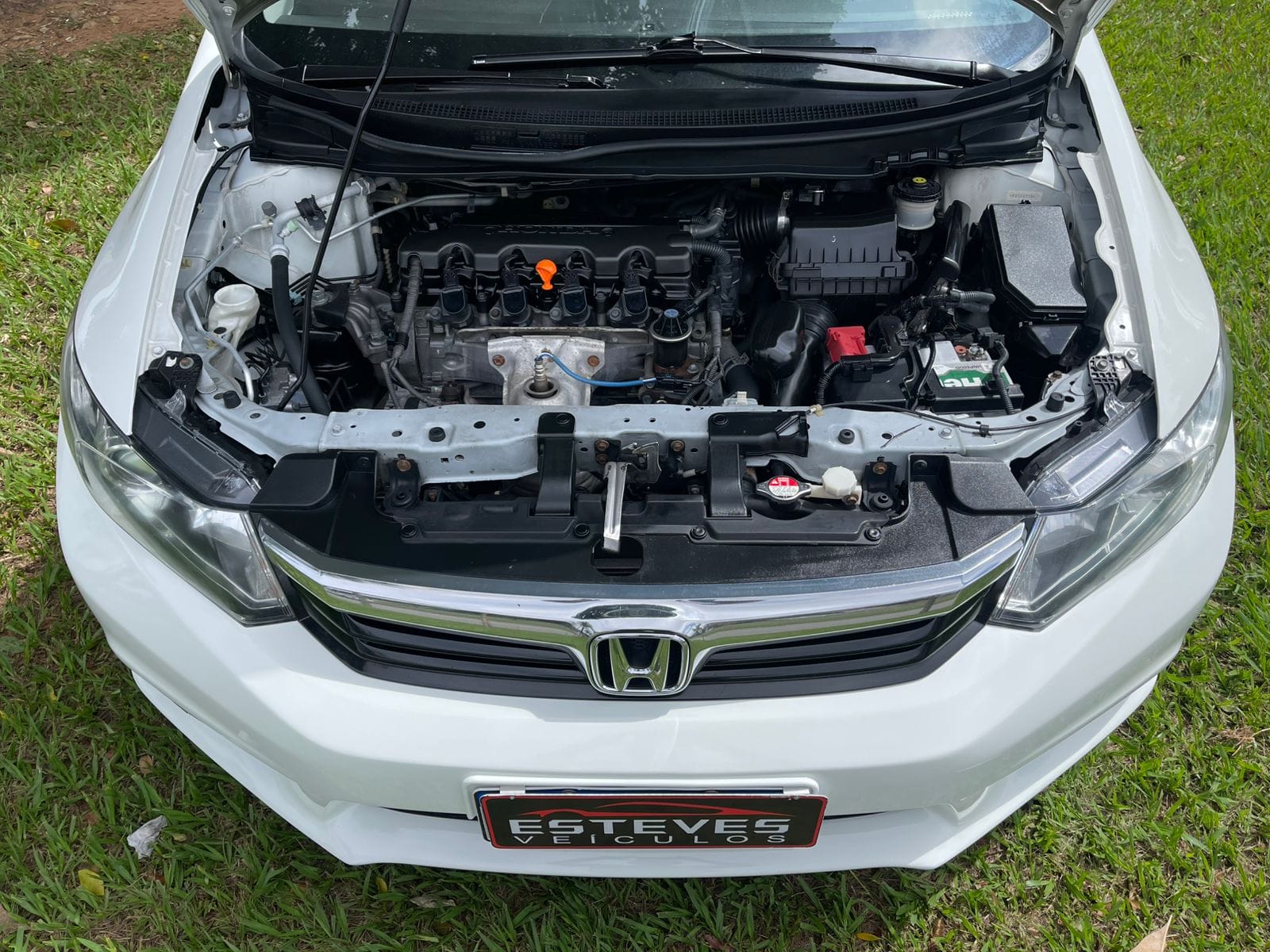 WhatsApp Image 2026-03-19 at 10.25.20 (1)A