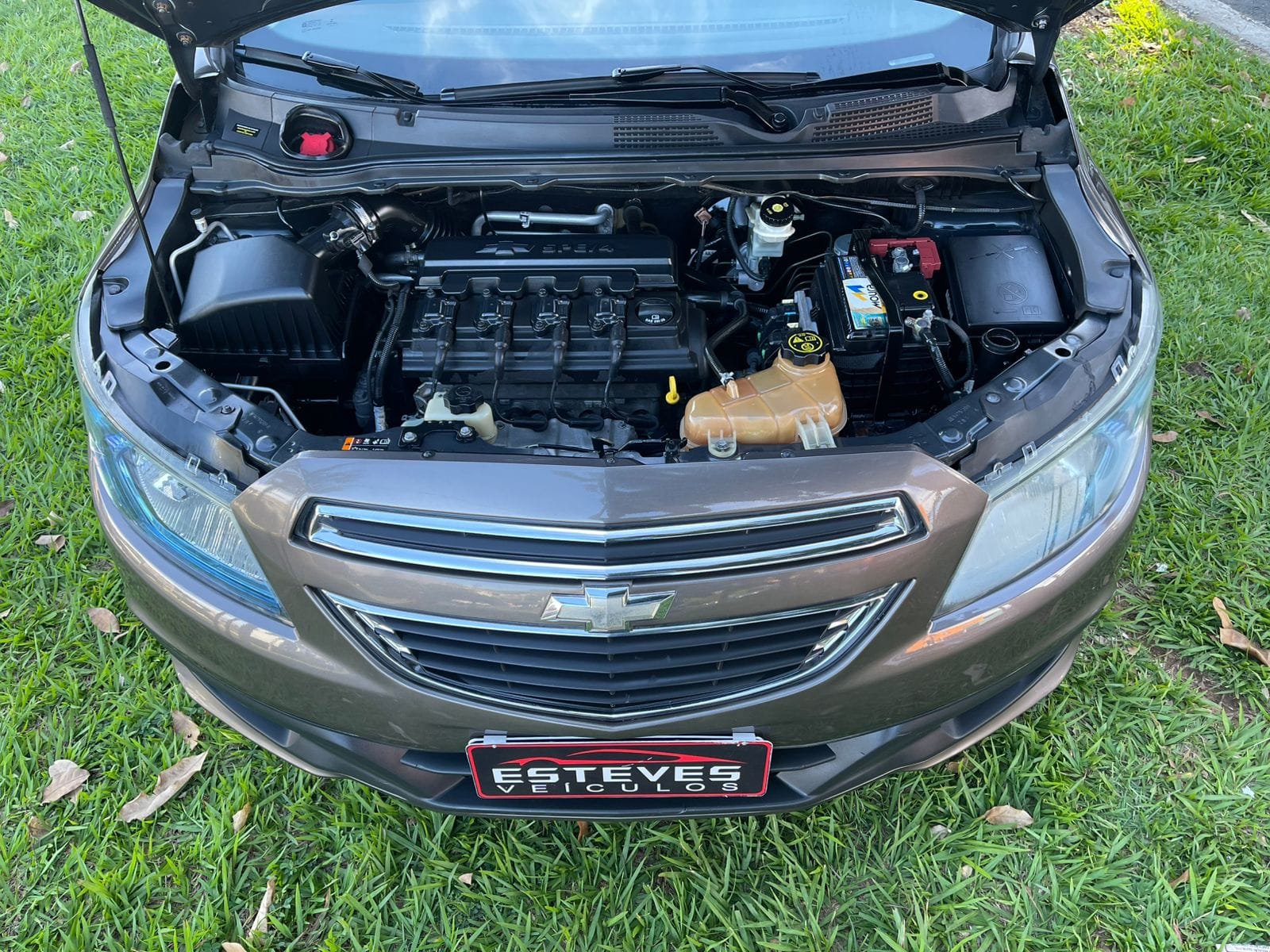 WhatsApp Image 2026-04-06 at 16.38.17