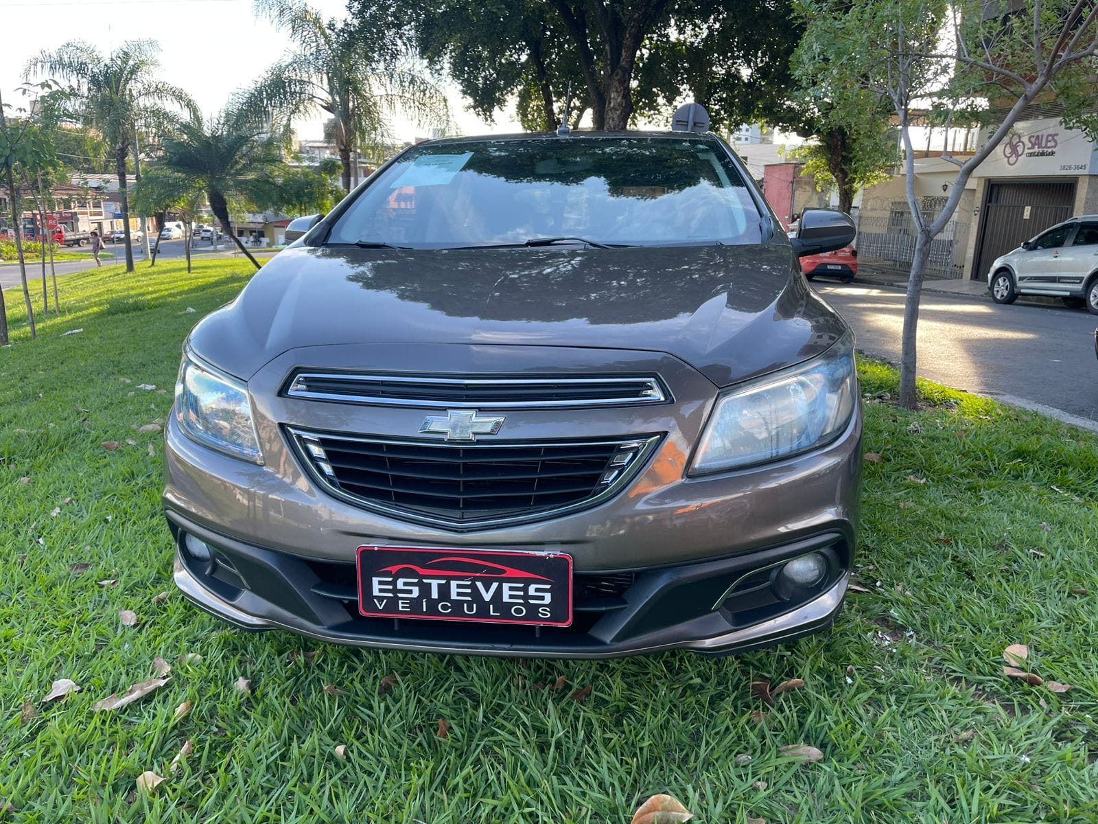 WhatsApp Image 2026-04-06 at 16.38.17S